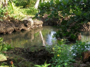  Piscina Natural on the Sea  Cahuita